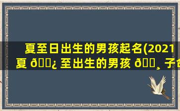 夏至日出生的男孩起名(2021夏 🌿 至出生的男孩 🌸 子命好吗)